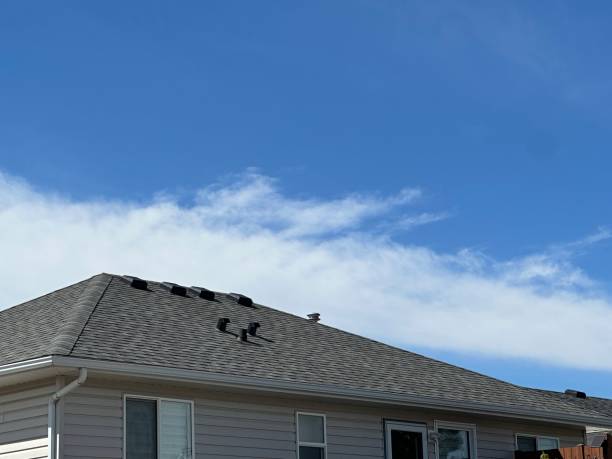 Best Gutter Installation and Repair  in Sorgho, KY